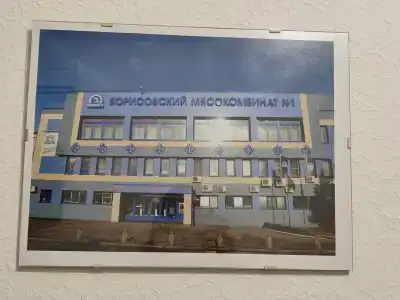 Borisovsky Myasokombinat - 3