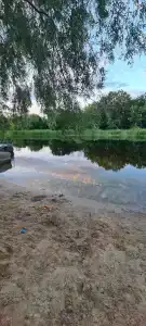 Битюг - 41