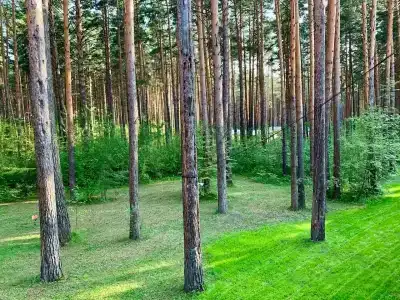 Дружба - 2