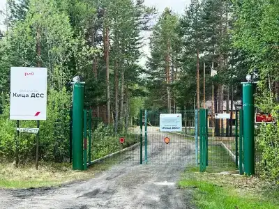 Кица ДСС - 32