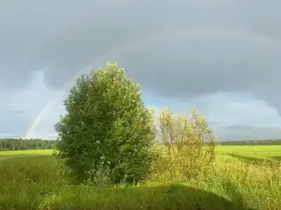 Фристайл - 1