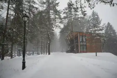 Аврора - 41