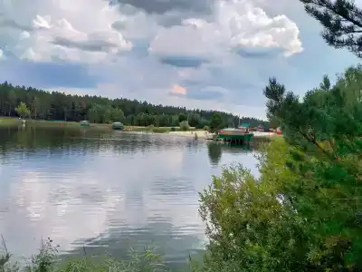 Сосновка - 35