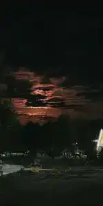 Таруса Лайф - 86