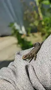 Просто огонь - 25