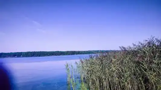 Волна - 86