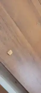 Золотая Рыбка - 16