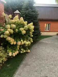 Заречный - 96