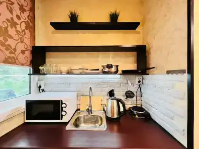 Полярник - 61