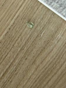 The Basilian Minsk, Curio Collection By Hilton - 75