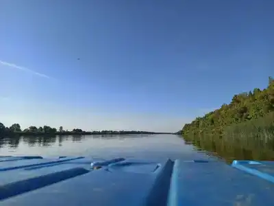 Пчелинцево - 17