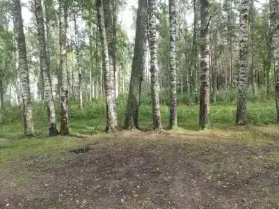 Парус - 62