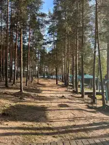 Беседки на Коркинском озере - 53