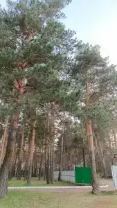 Мечетлинский - 19