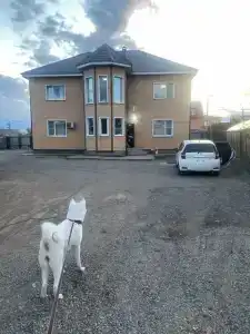 Гостиный дом - 7