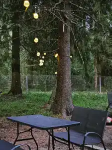 Заповедник - 19