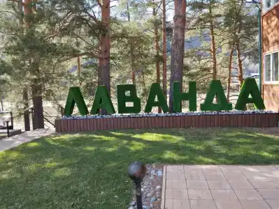 Лаванда - 12