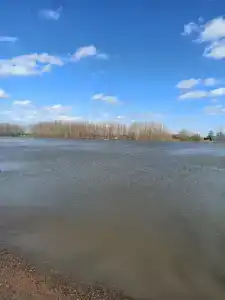 Берлога - 9