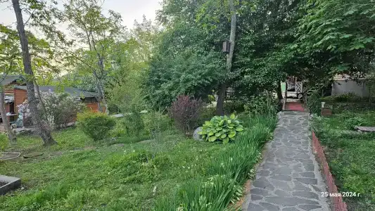 Ольховая - 36