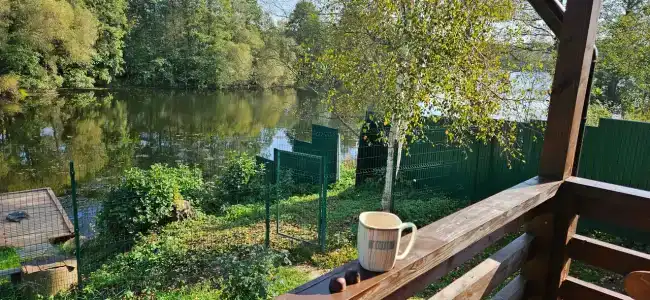 Утро на заводи - 68