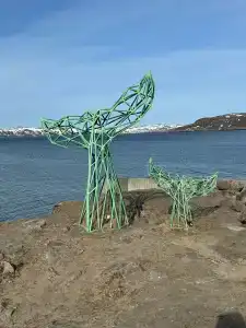 Cedar Grass Териберка - 22