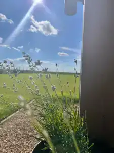 Дубль Дача - 29