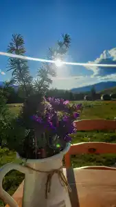 Мир Алтай - 49