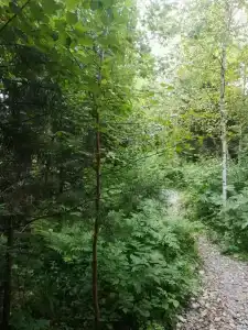 Медвежья берлога - 14