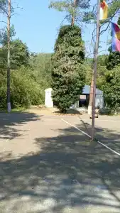 Дубрава - 25