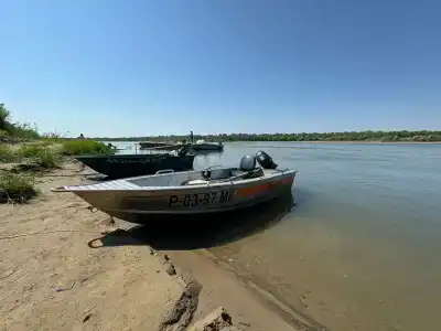 Бородей - 33