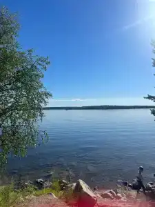 Лесная - 28