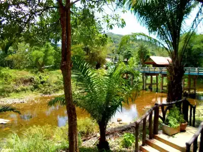 Khao sok river&jungle resort - 43