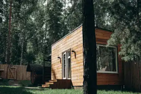 Домики в лесу - 0