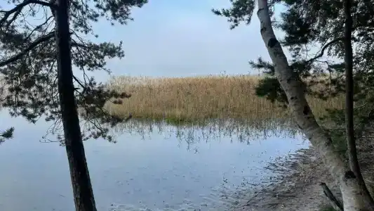Белое озеро - 71
