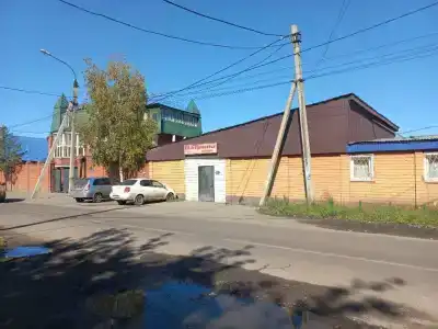 Патрина - 1