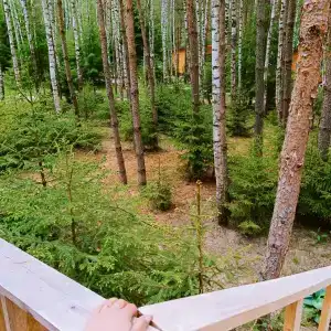 Лесная сказка - 23