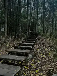 Villy Uley Karelia (Вили Улей Карелия) - 96