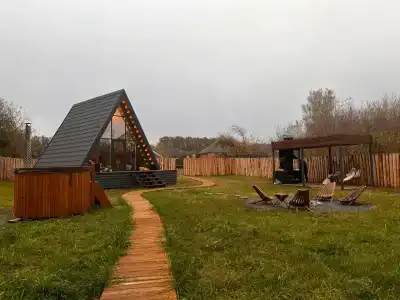Камыши - 0