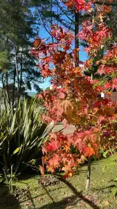 Беларусь - 60