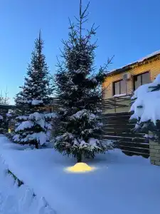 У-Дача - 13