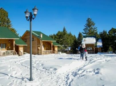 Uludag Orman Koskleri - 21