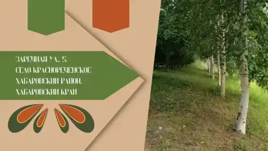 Околица - 3