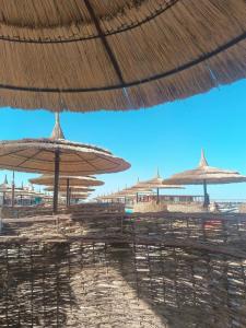 Ali Baba Palace -Families and Couples Only- - 13