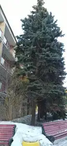 Каштак - 6