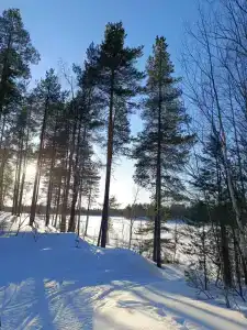 Пяозерский - 35