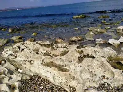 Солнечный пляж - 25