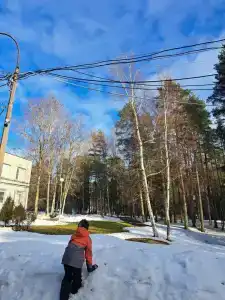 Звездочка - 13
