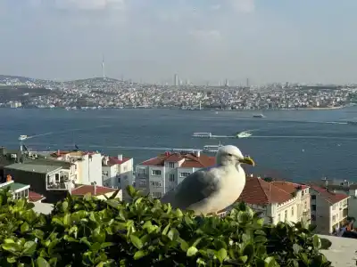 CVK Park Bosphorus Istanbul - 71