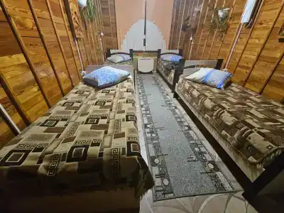 у Петра - 11