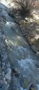 ДоММельяновых - 14